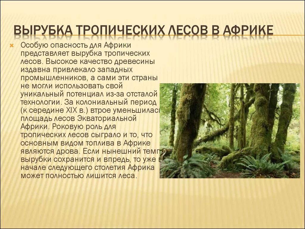 Тропики это география 5 класс. Обезлесение тропических лесов Африки. Проблемы тропических лесов. Тропические леса вырубка. Тропические леса в опасности.