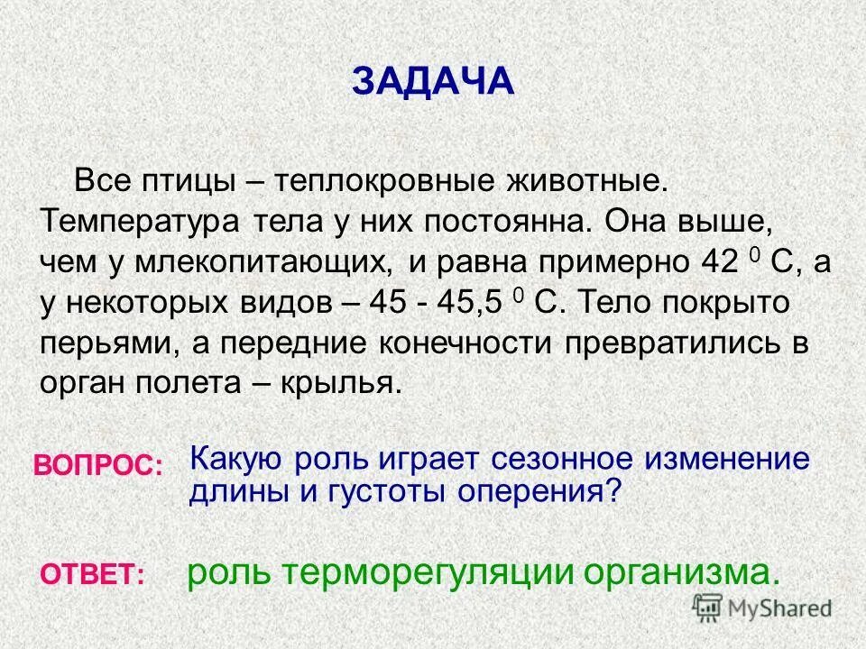 гетеротермия эндотермных животных. температура тела у животных и птиц. какая температура у животных. температура тела теплокровных животных. температура у коровы в норме.