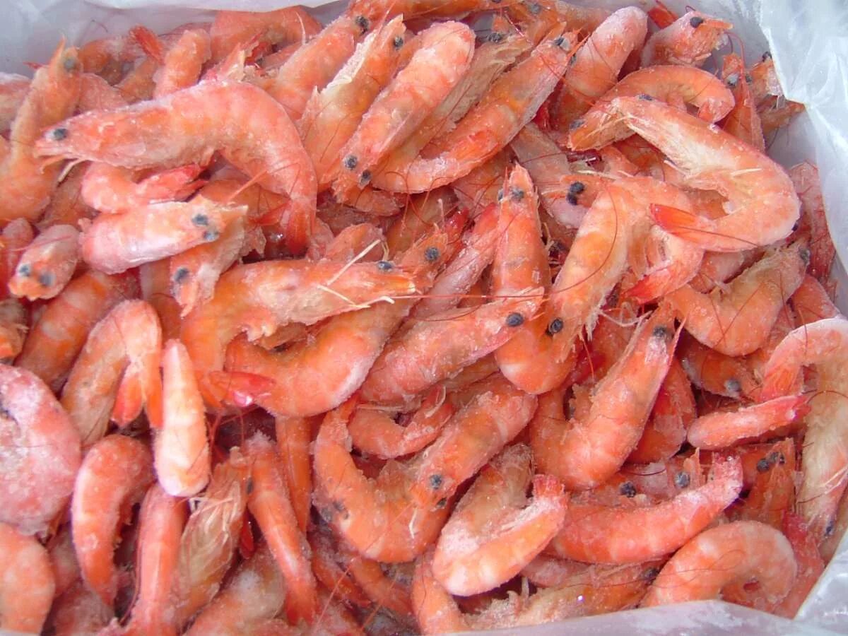 Креветки очищ. Лангустины сырые. Креветка королевская ваннамей. Как выглядят сырые креветки. Лангустины свежевыловленные.
