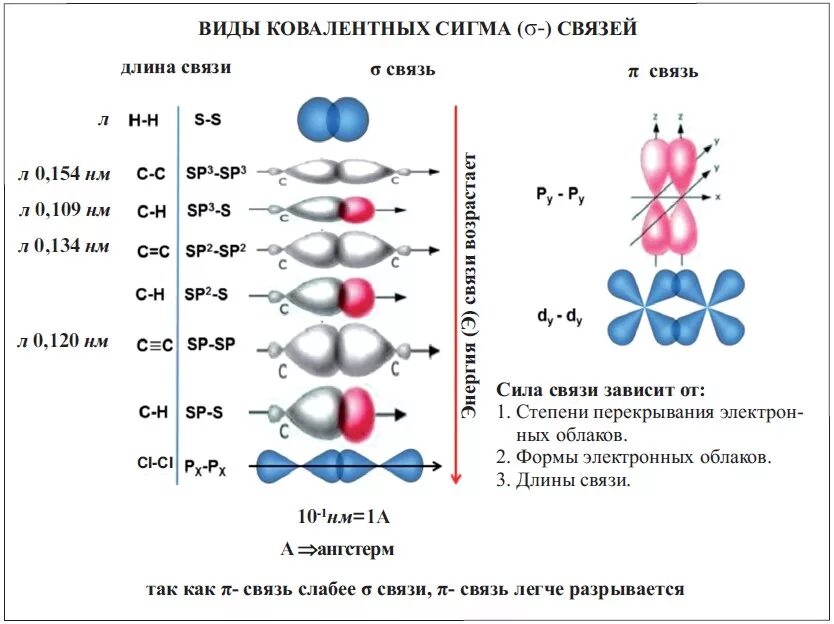 Силы связи в молекулах. Схема образования сигма связи. сигма-связь типа δ(sp2-s) имеется в соединении:. сигма связь между какими атомами. п п связь химия.
