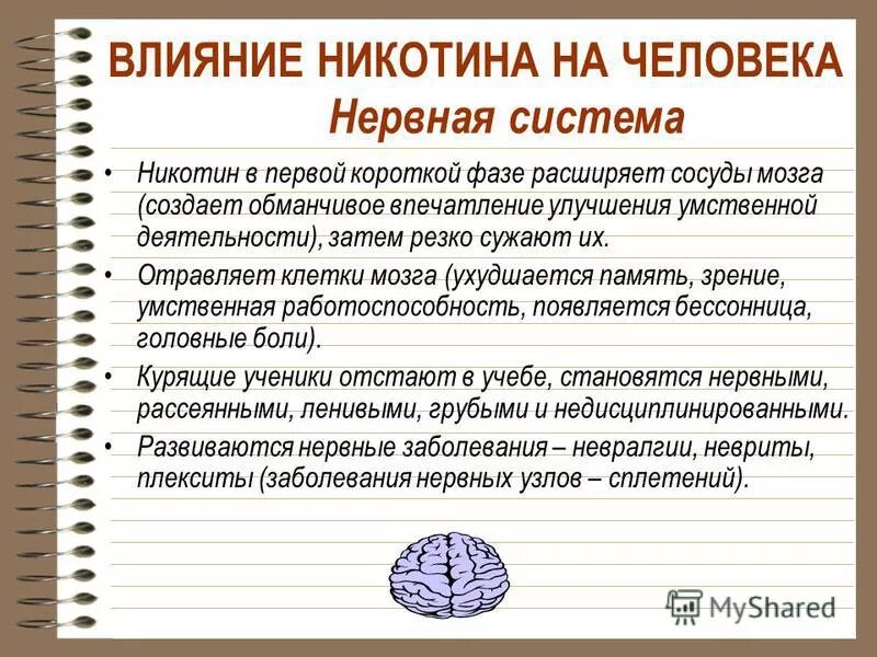 при умственной работе в клетках мозга. при умственной работе в клетках мозга. влияние алкоголя и никотина на нервную систему. воздействие табакокурения на мозг. влияние сигарет на головной мозг.