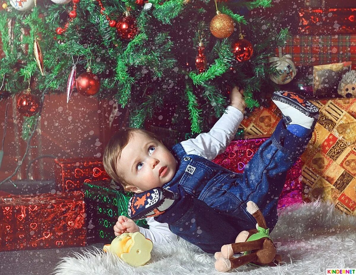 Кот и новогодняя елка. Девушка у елки. Для малышей новый год. Подарок на новый год с елкой. Подарки под ёлкой.