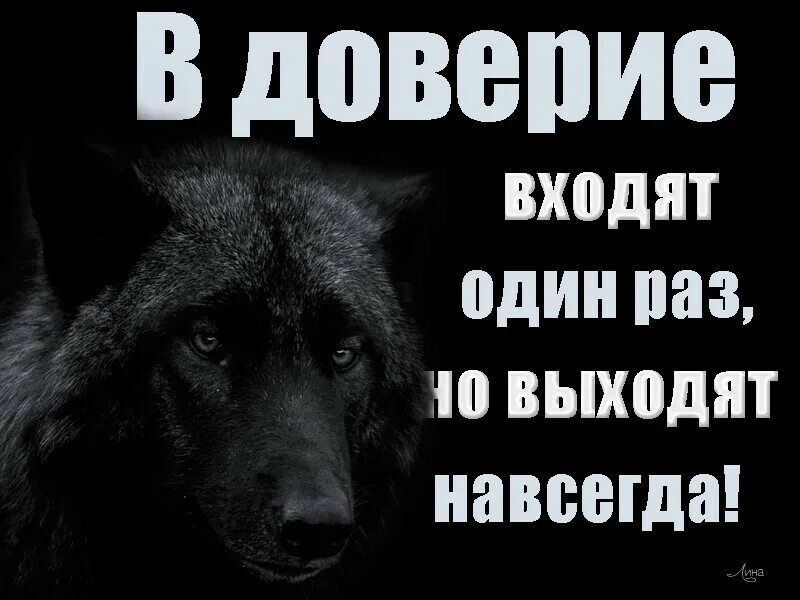 В доверие входят один. Войти в доверие. В доверие входят один раз но выходят навсегда. Доверие один раз.