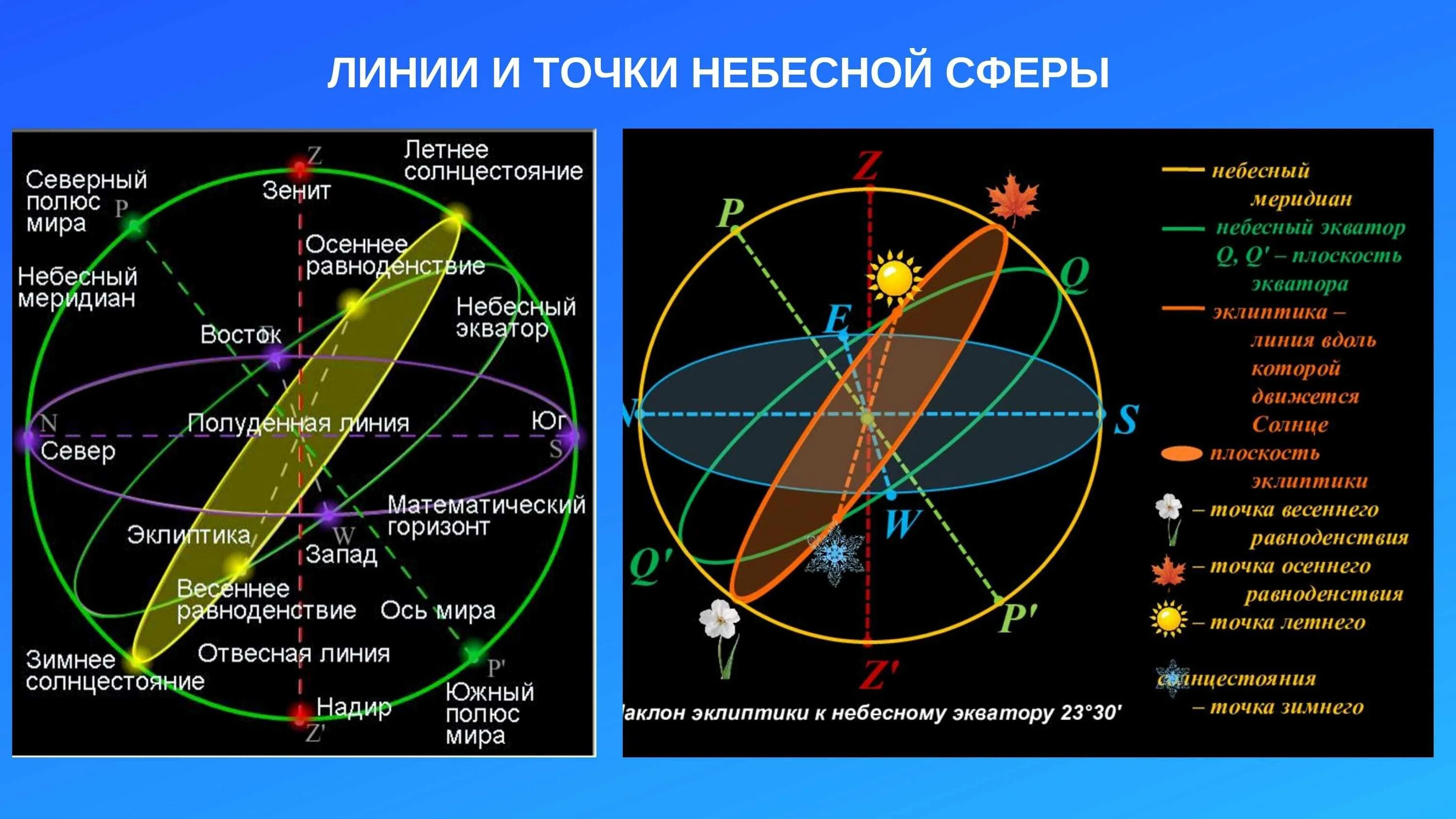 Через какие созвездия проходит меридиан. Ось мира небесный экватор, небесный меридиан.. основные точки и линии небесной сферы астрономия. небесная сфера основные точки и линии. небесный эквватор небесный меридиа.