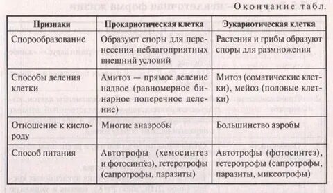Основные признаки одноклеточных эукариот