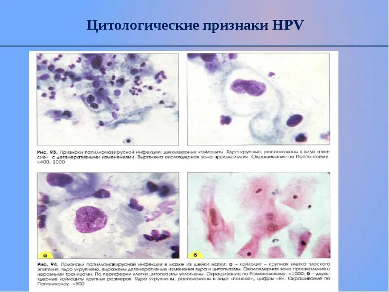 Цитологическое исследование 1