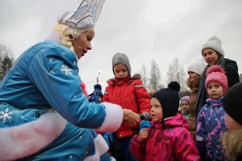 Ели 2019