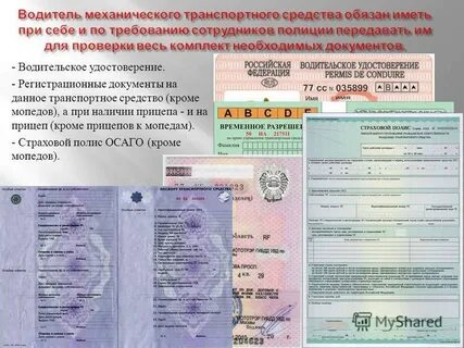 Какие документы обладают на