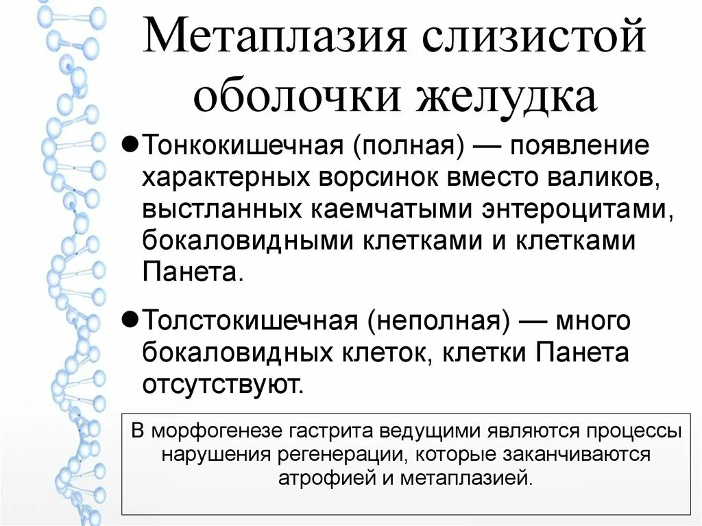 Метаплазия желудка отзывы