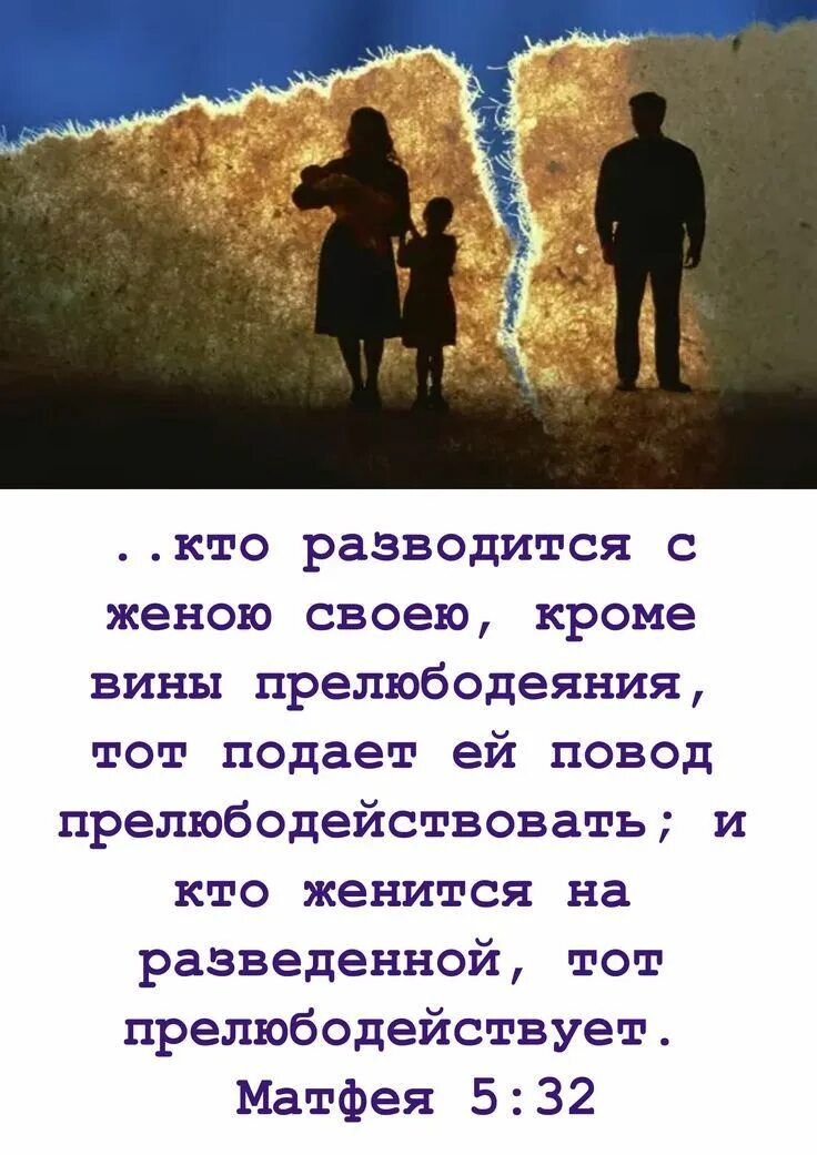 Санчас/проверка - Страница № 3 - Маскулист - просвещение мужчин