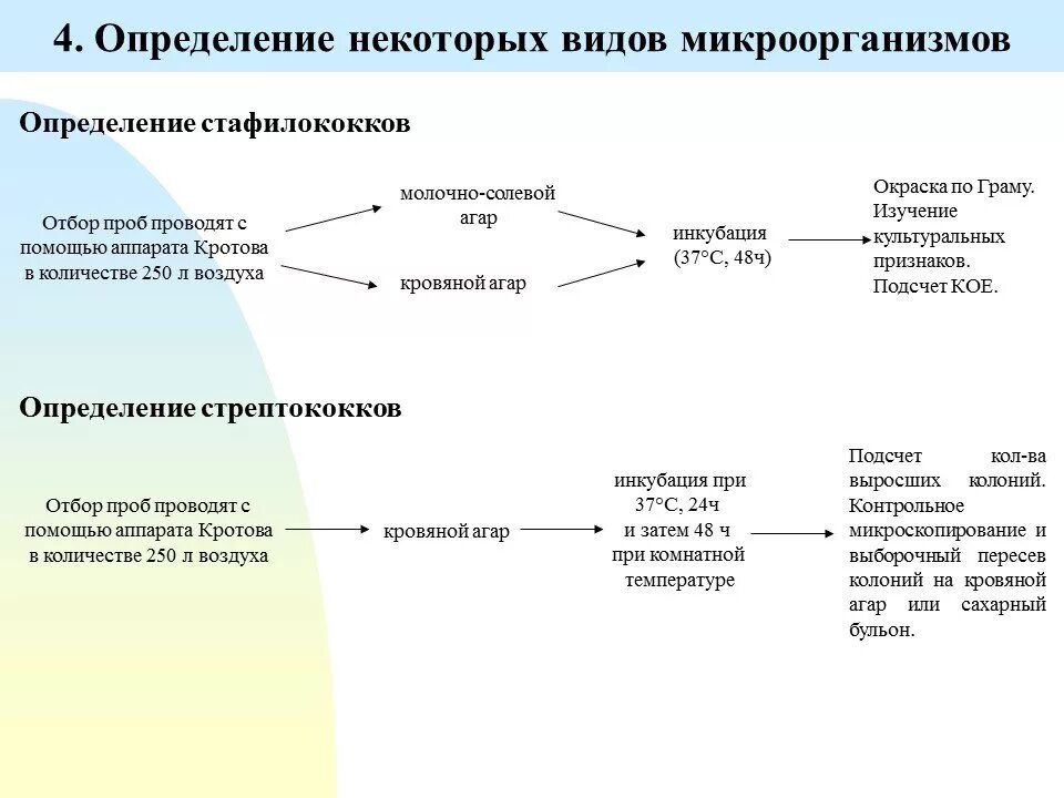 Для каких видов продукции человек использует микроорганизмы