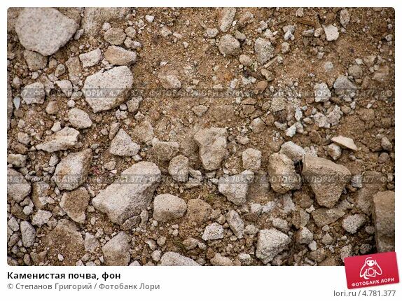 Глупец я или злодей герой нашего времени. Сочинение на тему герой нашего времени. Душа не каменистая почва. Каменистый грунт. Душа печорина каменистая почва.