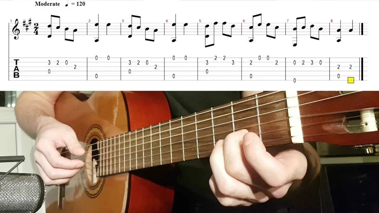 Жили у бабуси два веселых гуся ноты для гитары. Ноты в траве сидел кузнечик для гитары новичков. Веселые гуси на гитаре. Гусь с гитарой. Жили у бабуси два веселых гуся табулатура.