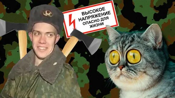 Спасение кота солдатом. Солдат спас кота. солдат спасает кота. солдат спас кота с дерева. спасти рядового кота.