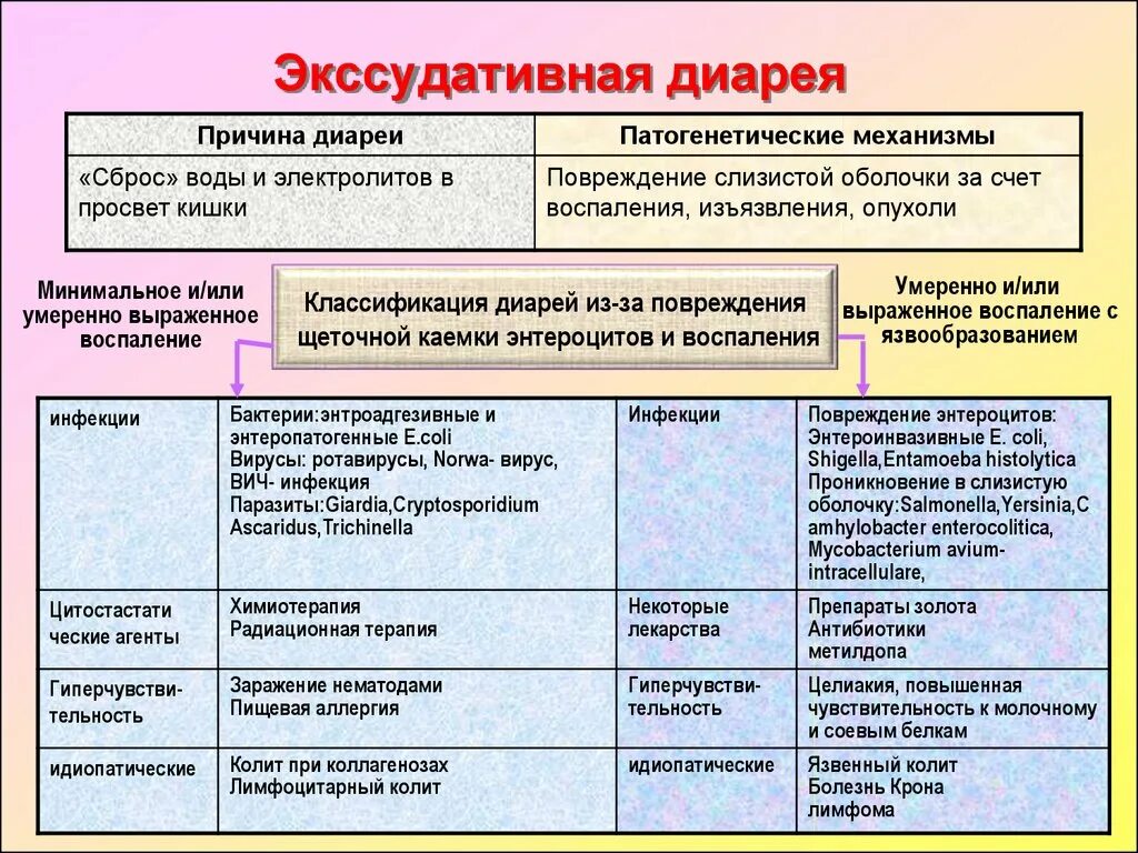 Причины диареи. Экссудативная диарея. Экссудативная диарея патогенез. Экссудатмвнач лиаремя. Экссудативный Тип диареи.