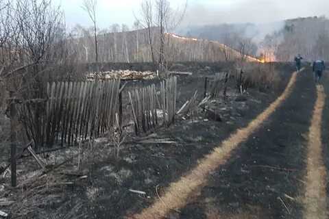 Красноярский край 2019 год