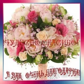 Благодарность надежде