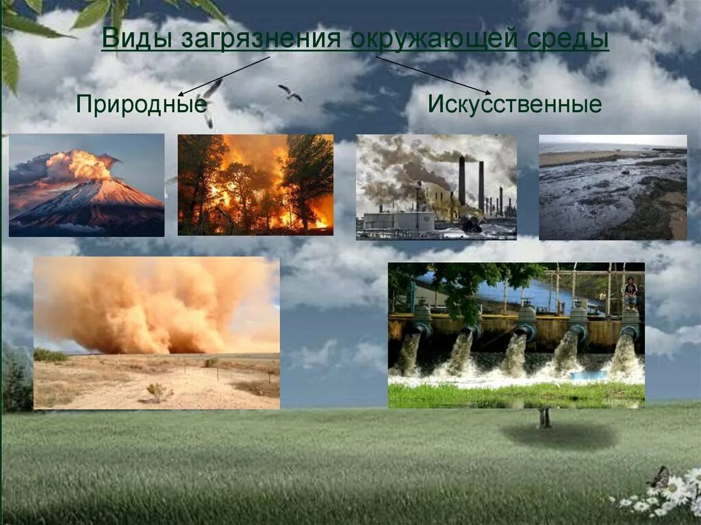 Виды загрязнений окружающей среды таблица. Основные виды загрязнения окружающей среды. Основные типы загрязнения. Виды загрязнения окружающий сред. Виды загрязнений схема.