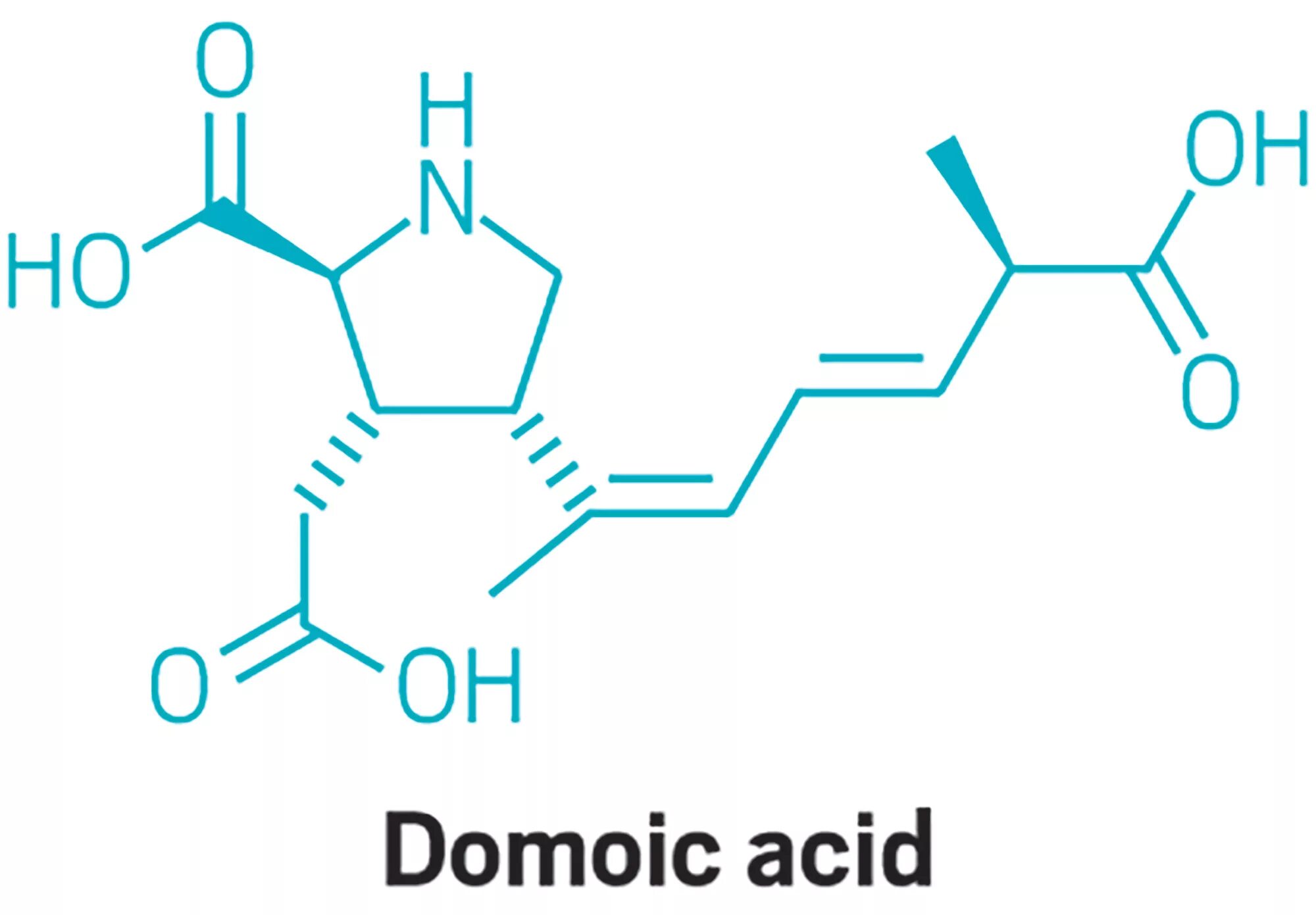 Toxic factory acid natural. Мезо диаминопимелиновой кислоты. Схема domoic acid. Pteroylglutamic acid. Биосинтетика.