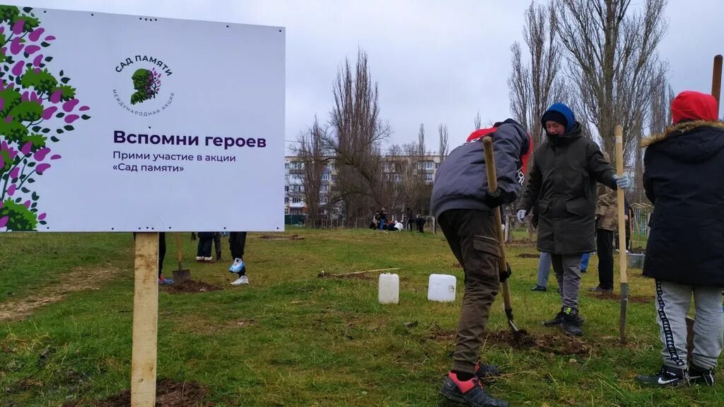 Акция память отчет. Табличка сад памяти Международная акция. Сад памяти Международная акция логотип. Сад памяти волонтёры Победы. Сад памяти 2021 акция.