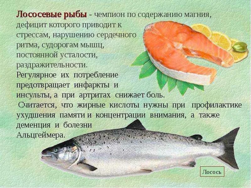 Скумбрия витамины и микроэлементы