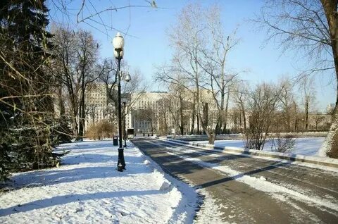 Погода на предстоящую зиму