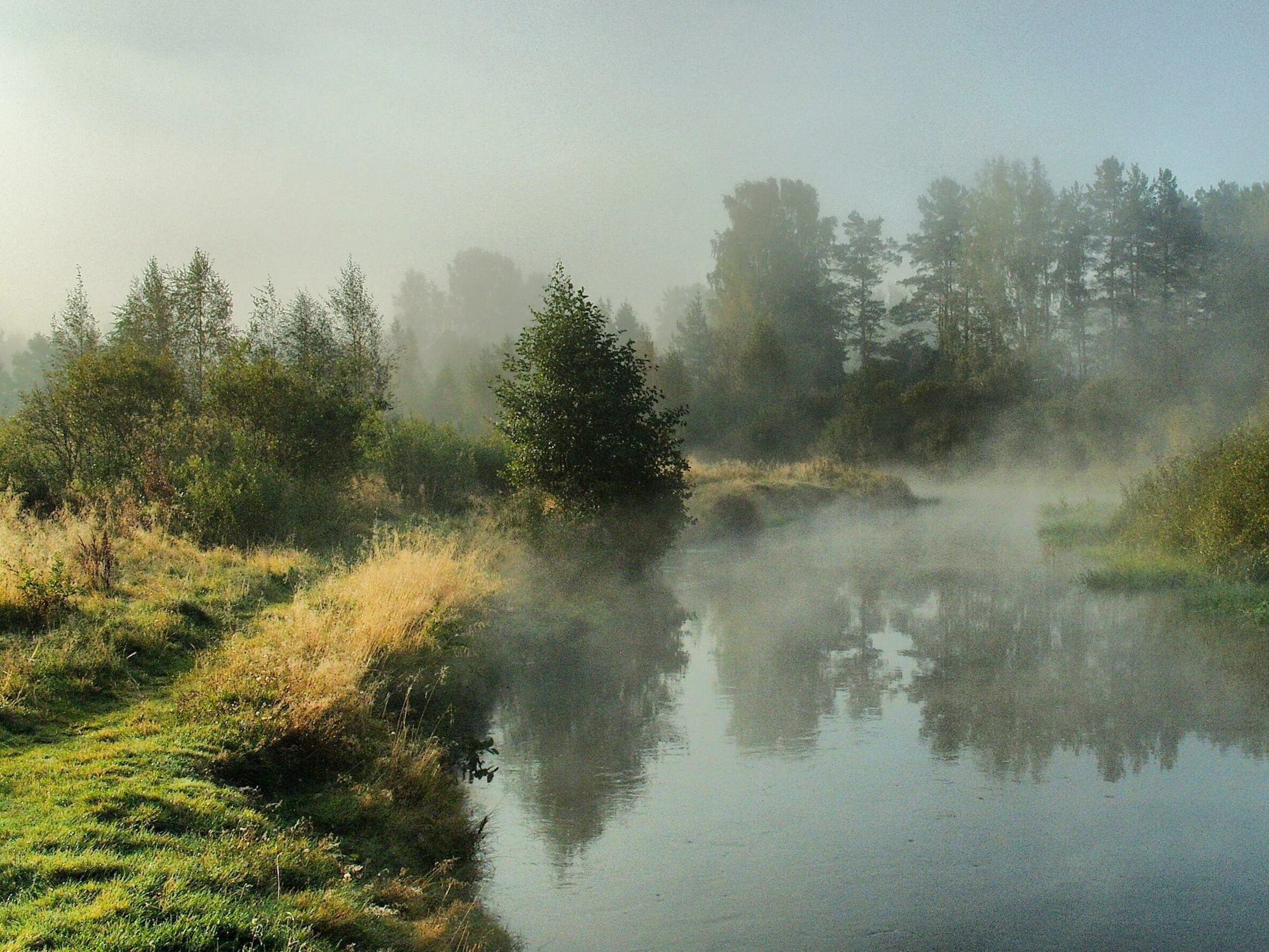 Таково умиротворенное состояние природы. Река туманная Приморский край. Туманное утро Кировская область. Утренний туман. Пейзаж туман.