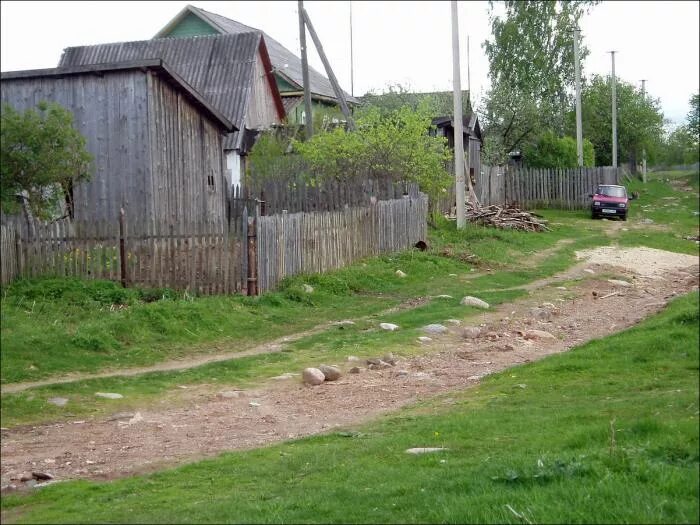 Белебёлка новгородская область. Деревня селеево. Селеево новгородская область. Селеево новгородская область. Деревня селеево.