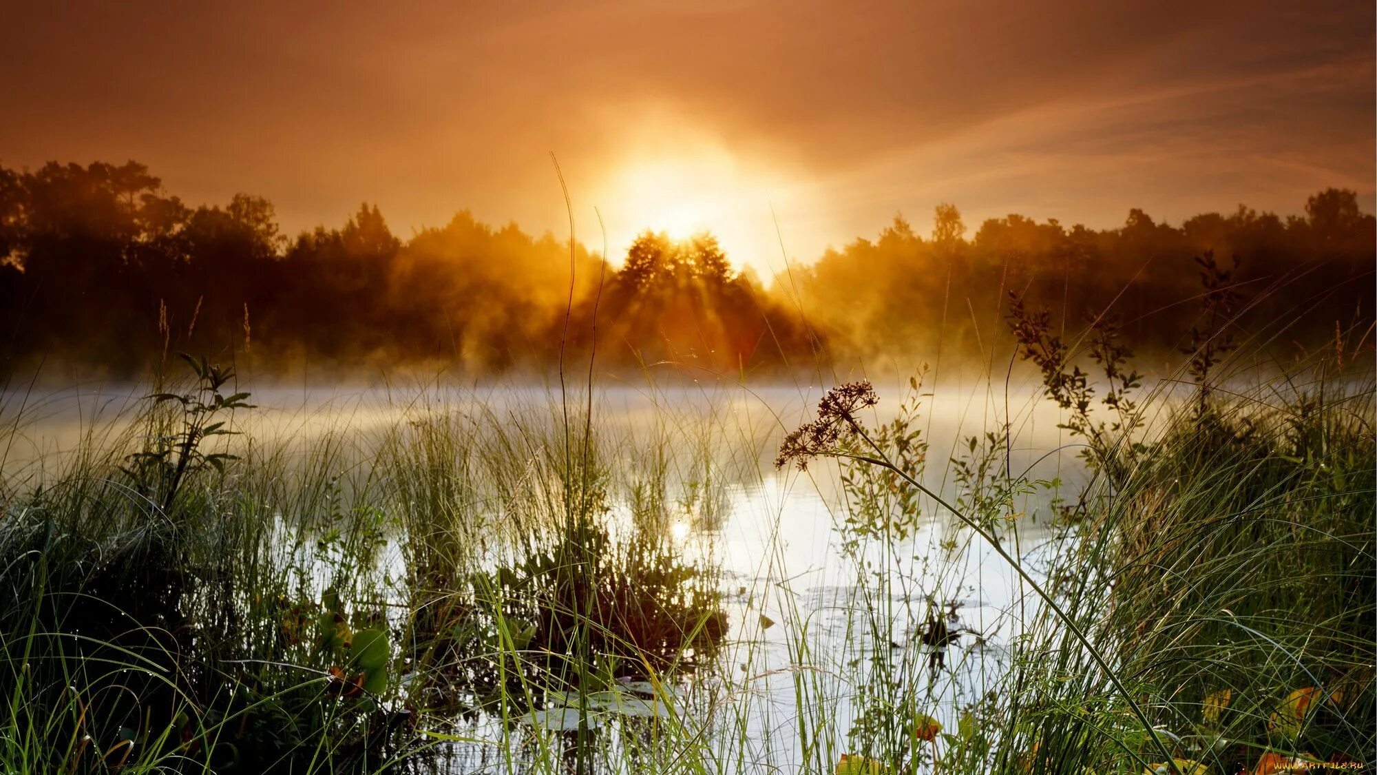 Рассвет на озере. Над рекой над речкой слушать. Рассвет над рекой. Над рекой над речкой слушать. Фёдор сологуб забелелся туман за рекой.