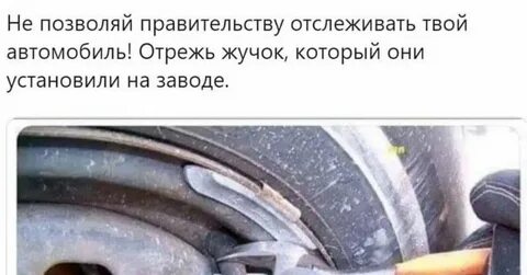 Сначала план по спасению жучки не удалось