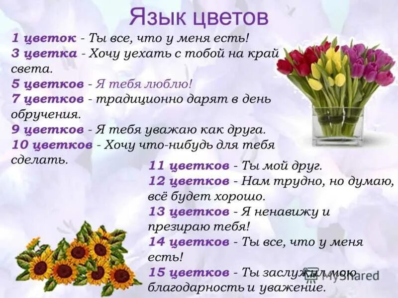 Нечетные числа цветов дарят сколько. Язык цветов. значение цветов в букете. я тебя люблю на языке цветов. язык цветов словарь.