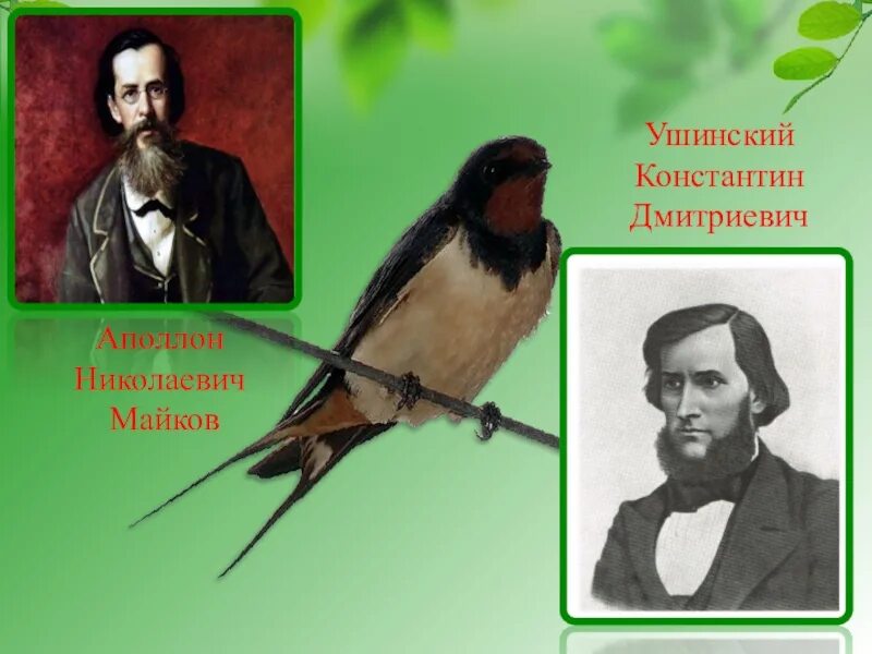 Презентация майков ласточки. Аполлон Николаевич Майков Ласточка примчалась…. Аполлон Николаевич Майков ласточки иллюстрации. Аполлон Николаевич Майков ласточки картина.