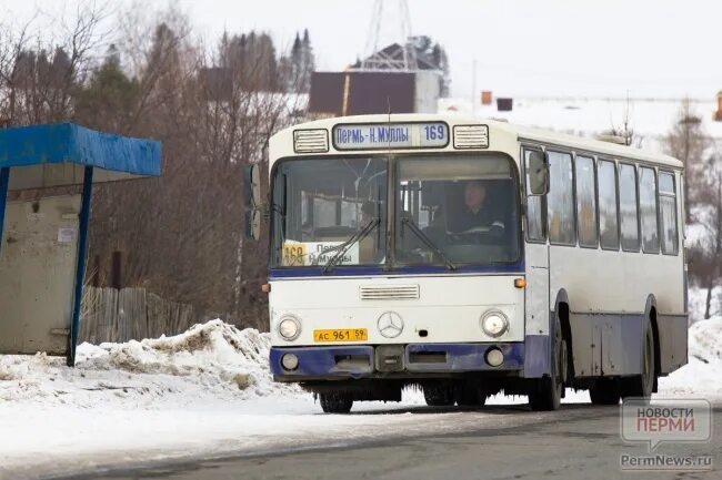 Автобус очер пермь завтра. Автобусы пермь сылва. старые автобусы перми. автобус пермь троица. новые автобусы пермь.
