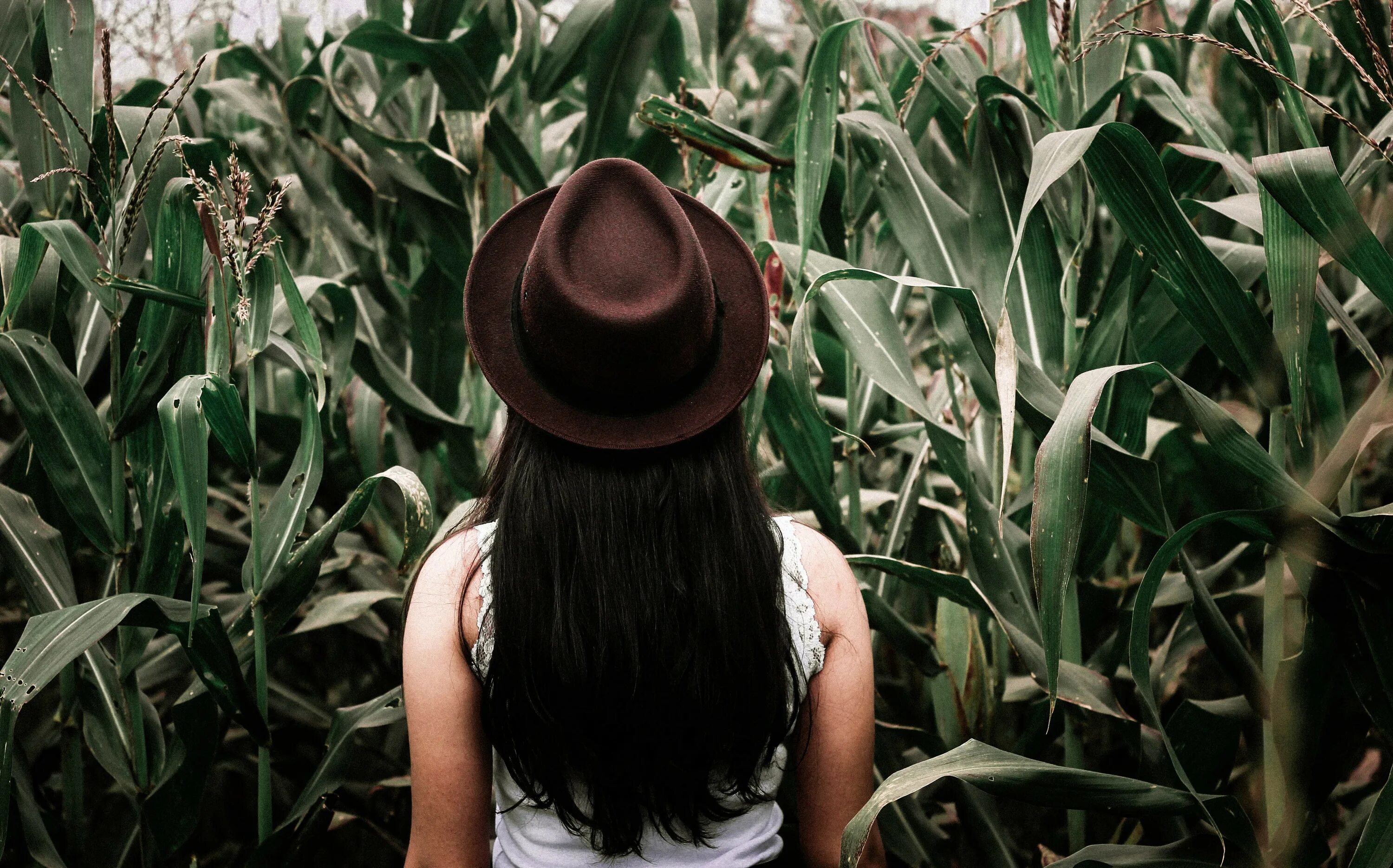 Растений человеком становится. Девушка в кукурузном поле. Растения и человек. Фотосессия в кукурузном поле. Фотосессия в кукурузном пол.