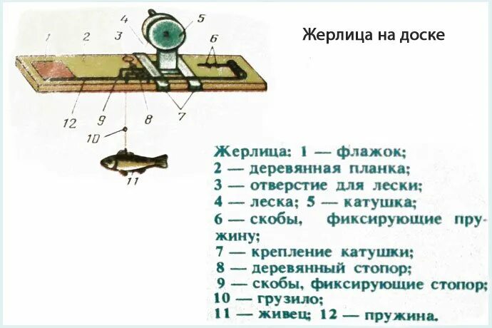 Оснастка жерлицы на щуку зимой. Конструкция жерлицы на щуку зимой. Монтаж зимней жерлицы на щуку. Монтаж жерлицы для зимней рыбалки на щуку. Сколько можно ставить жерлиц в 2024 году