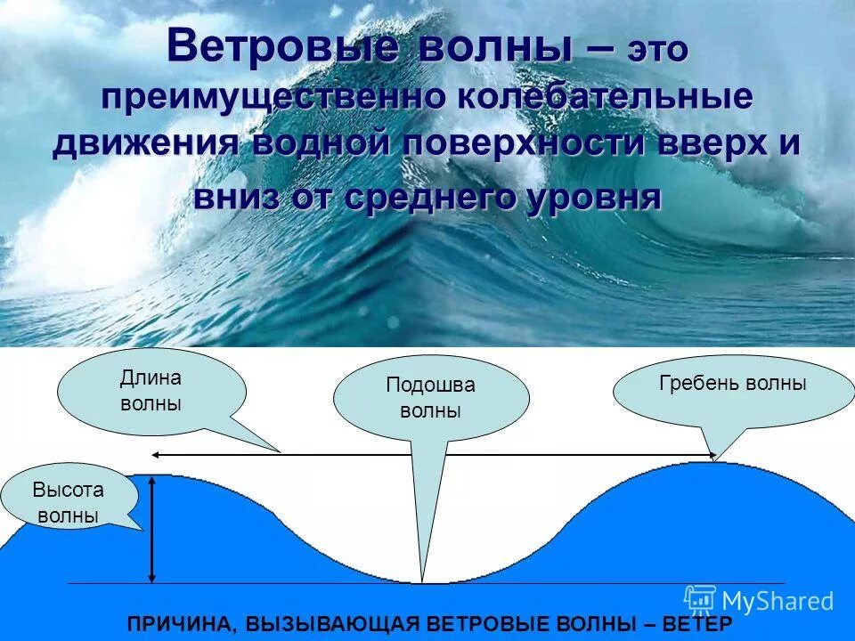 Подошва волны это. Волны в мировом океане. Ветровые волны. Волны и течения. Движение воды в океане.