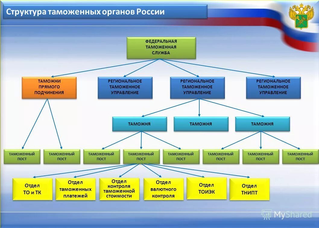 фтс рф структура таможенных органов. органы управления в таможенной службе. органы управления в таможенной службе. органы управления в таможенной службе. система таможенных органов рф схема.