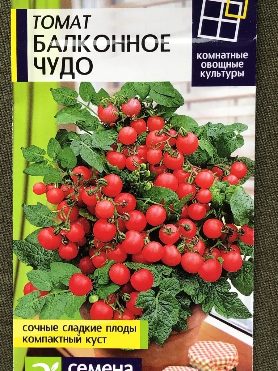 семена томат балконное чудо. томат вишневидный балконное чудо. помидоры балконное чудо аналоги. семена томат geolia «балконное чудо». томат балконное чудо семена алтая.