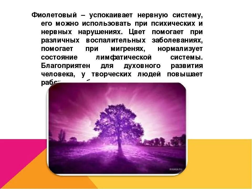 Мантра для успокоения нервной системы и психики. Успокоить нервную систему. Фиолетовый цвет успокаивает нервную систему. Для успокоения нервной системы. Советы для успокоения нервов.