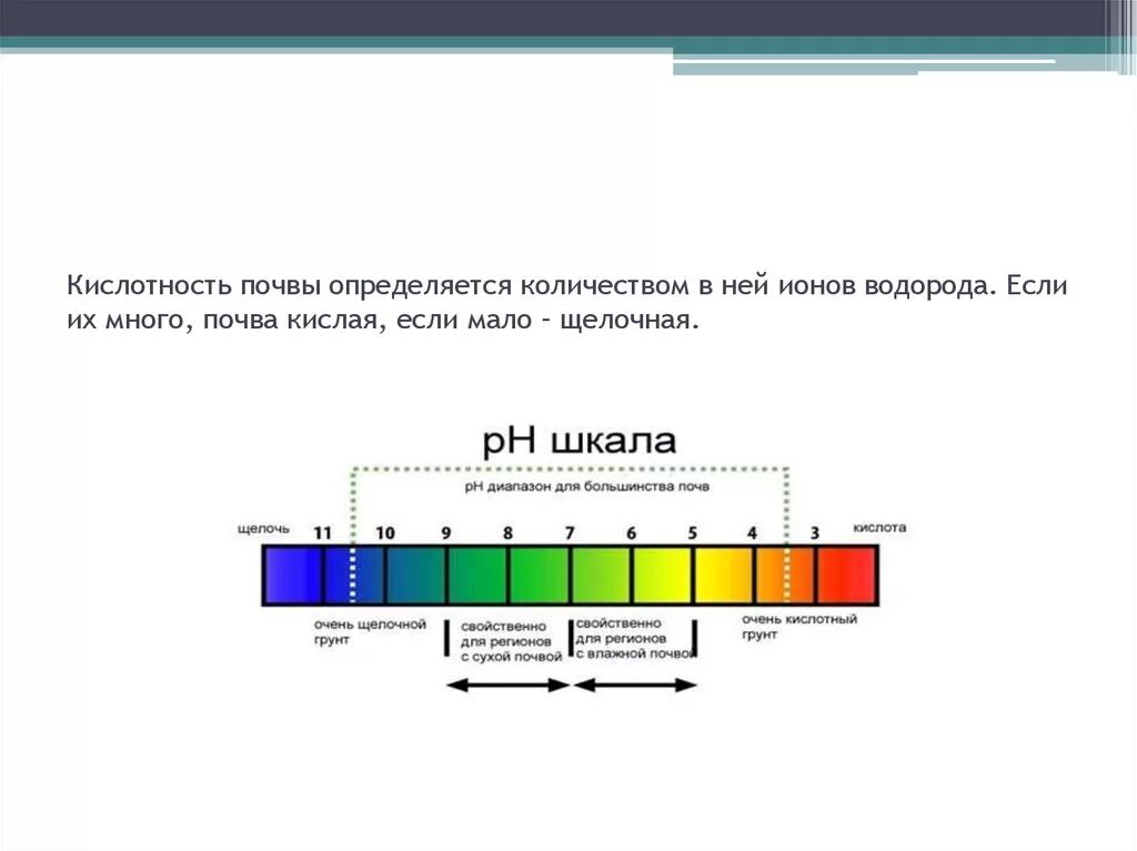 Шкала кислотности и щелочности почвы. Кислотность почвы PH. Нейтральная кислотность почвы. Шкала кислотности PH почвы.