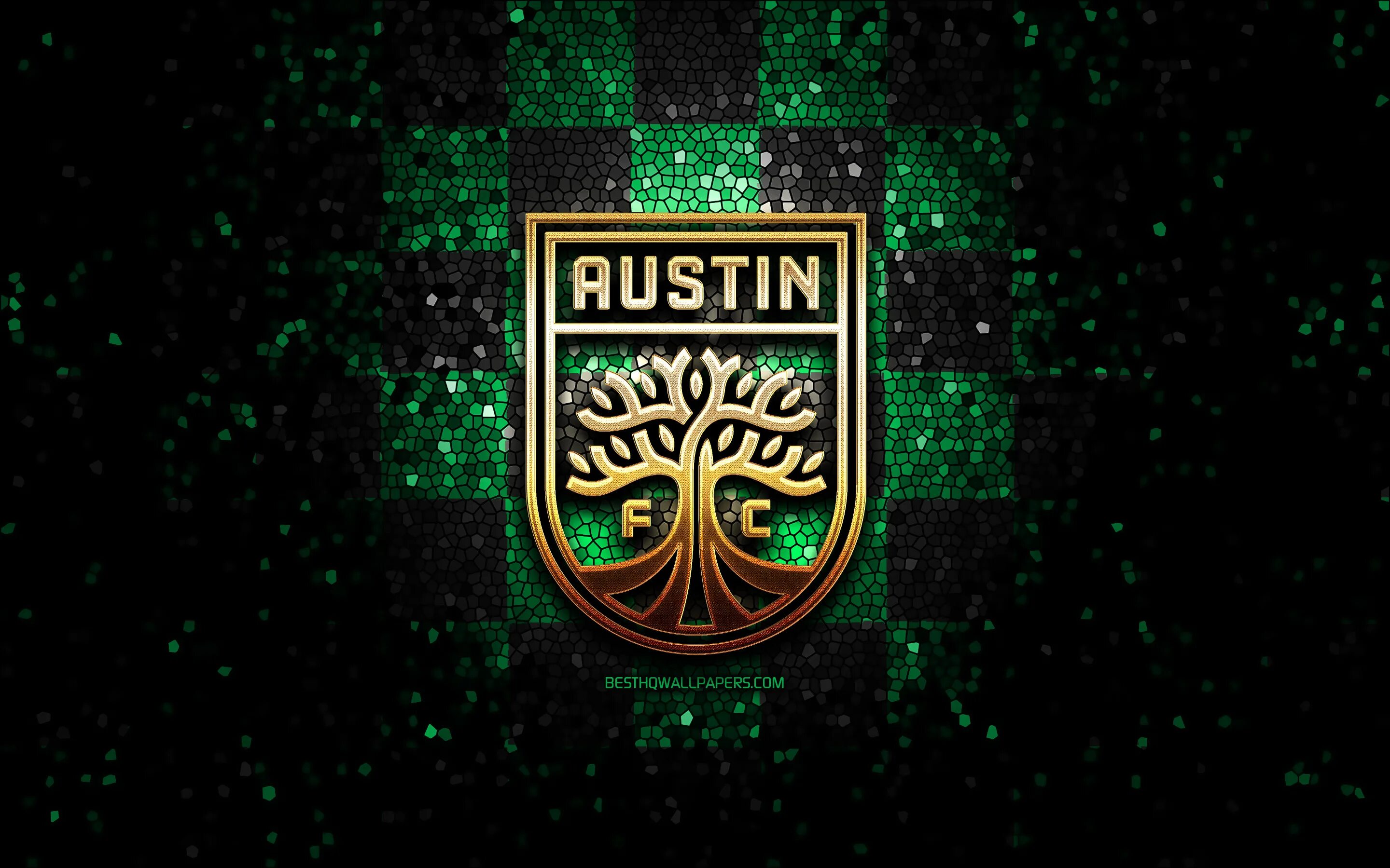 Футбольный клуб Austin. ФК Остин США. Austin FC logo. Остин клуб МЛС.