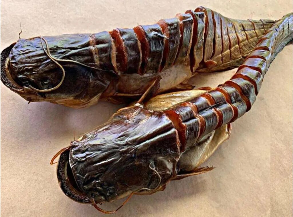 сом холодного копчения. клариевый сом горячего копчения. сом филе холодного копчения. копченый клариевый сом. толстолобик балык.