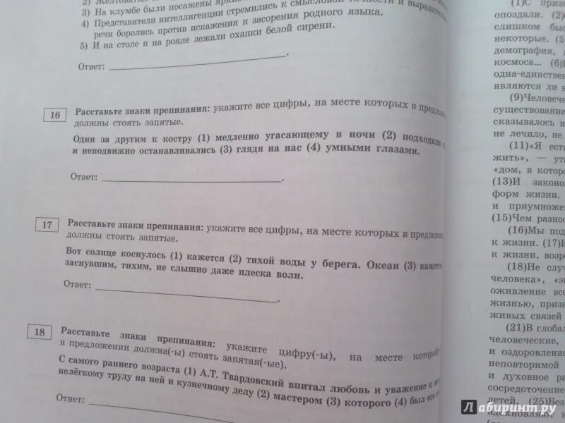 Цыбулько егэ 2023 36 вариантов сочинения. ЕГЭ русский Цыбулько 24 вариант. Картинка Цыбулько для описания. Русский язык Цыбулько 2022 24 вариант. Цыбулько 30 вариант сочинение ключи.