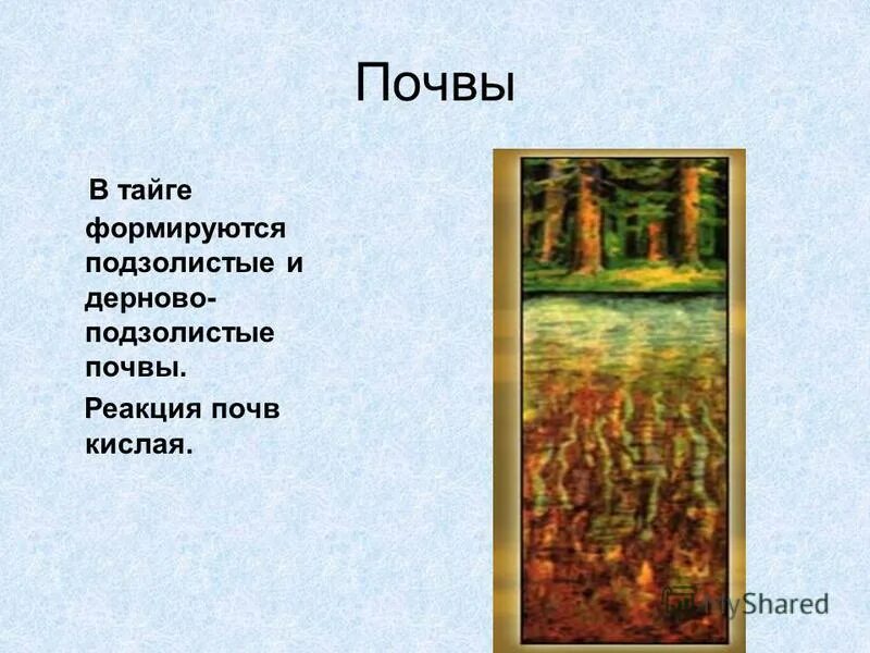 Оценка плодородия мерзлотно таежных