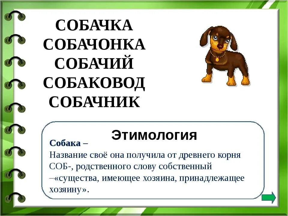 Прочитайте слова dog. Происхождение слова собака. Этимологический словарь слово собака. Собака этимология. Этимология слова собака.