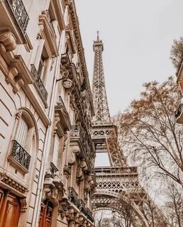 Paris beige