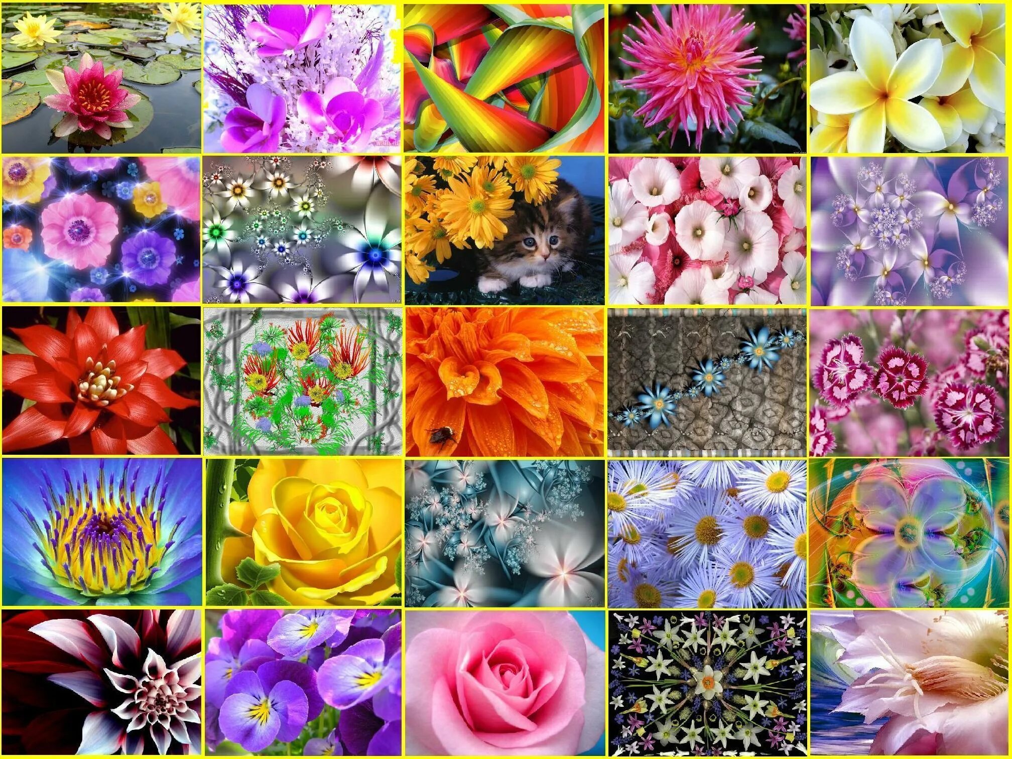 коллаж цветовой палитры. красивые коллажи. коллаж цвета. коллаж в сиреневых тонах. коллаж в фиолетовых цветах.