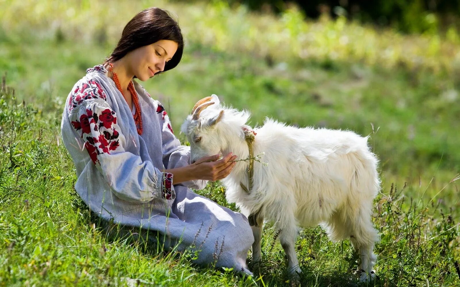 девушка с козленком. григорий кваша векторные отношения таблица. векторный брак. девушка с козленком. мужчина собака и женщина коза.
