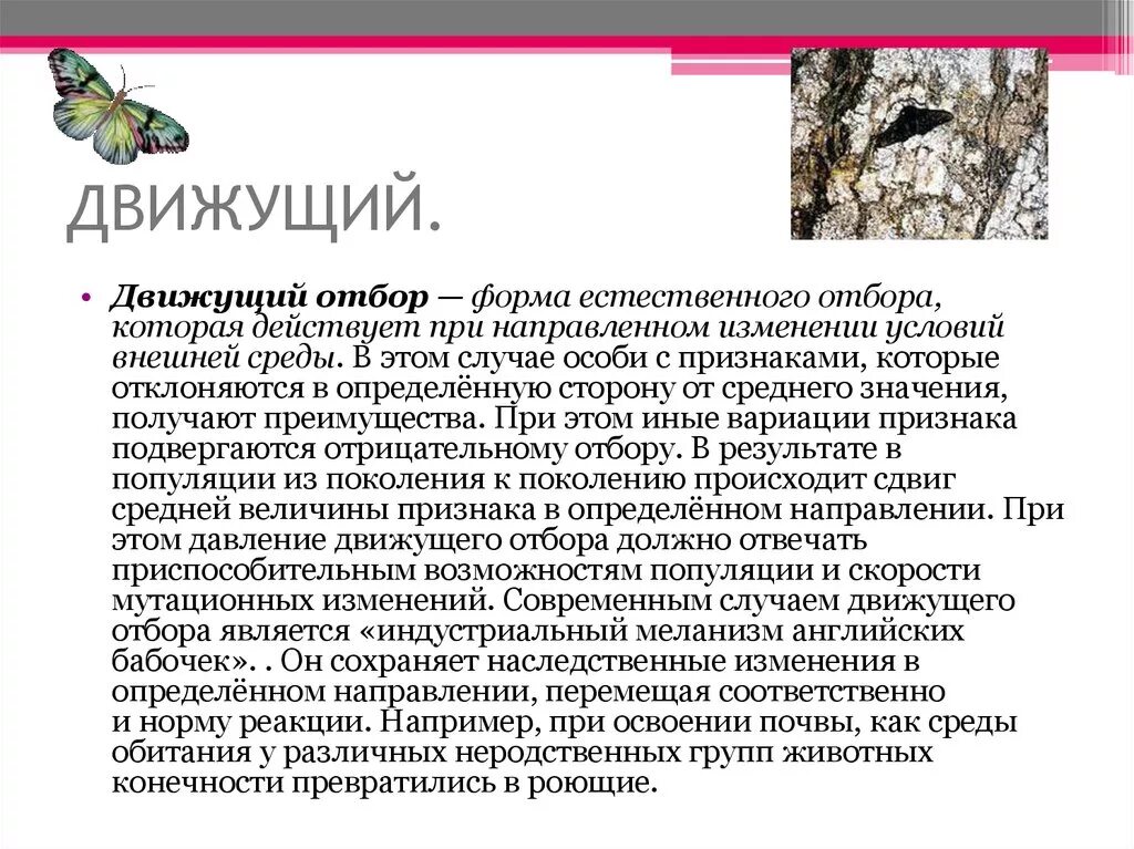 Картинки ЗНАЧЕНИЕ ДВИЖУЩЕЙ ФОРМЫ ЕСТЕСТВЕННОГО ОТБОРА