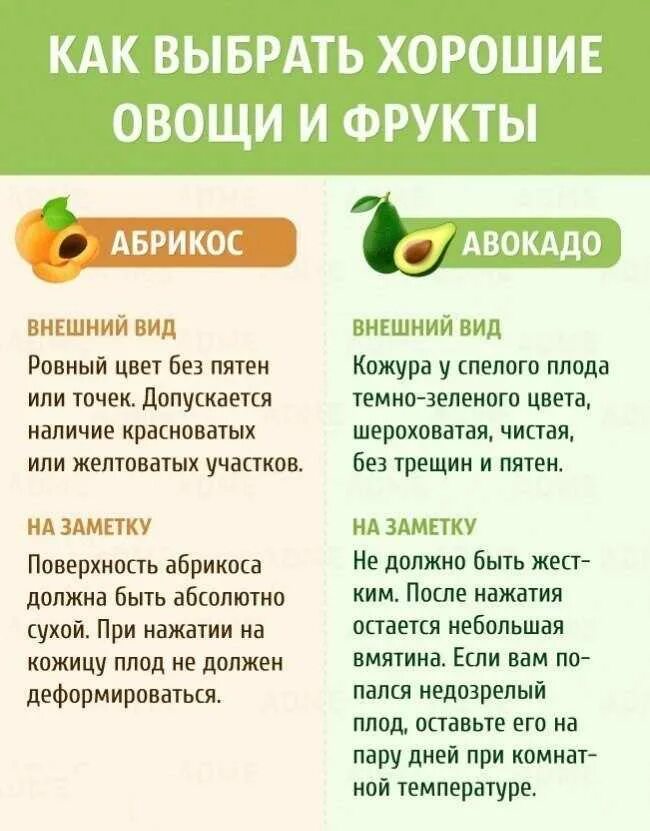 Авокадо как правильно выбрать в магазине спелый. Как выбрать авокадо. Как правильно выбрать авокадо. Как выбрать правильный авокадо. Как правильно ввбратьавокадо.